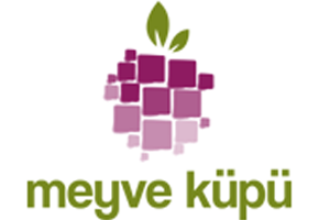 meyve küpü logo